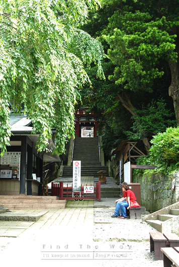 【散歩日和】静岡・久能山東照宮 4/4 〜 御社殿_f0054594_2172334.jpg