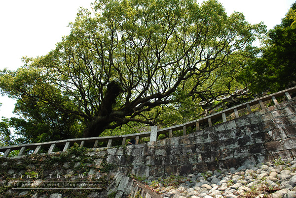 【散歩日和】静岡・久能山東照宮 4/4 〜 御社殿_f0054594_2192595.jpg