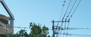 f0166694_19271347.jpg