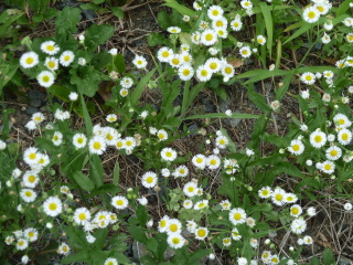 f0166694_19284353.jpg