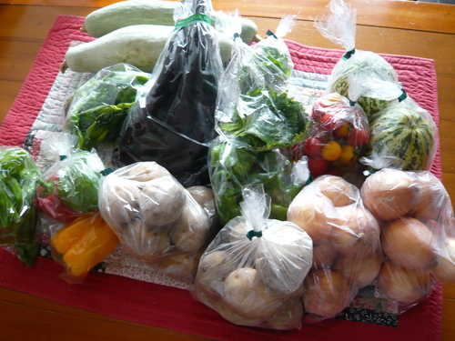b0220100_1511195.jpg