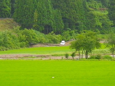 d0027904_230371.jpg