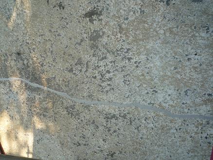 a0183005_2493755.jpg