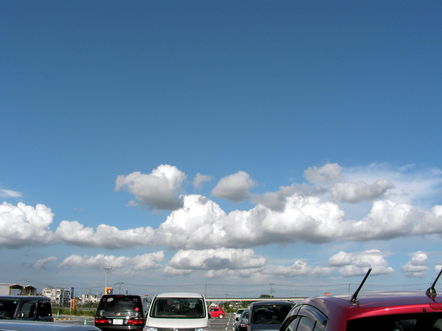 f0224506_20385343.jpg