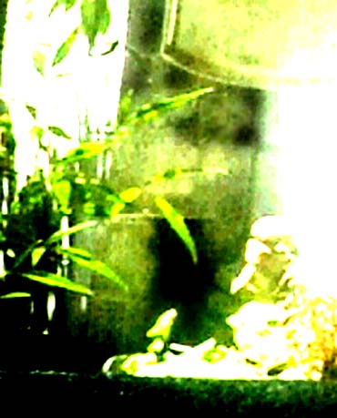 e0103408_21473426.jpg