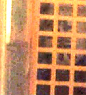 e0103408_21594481.jpg