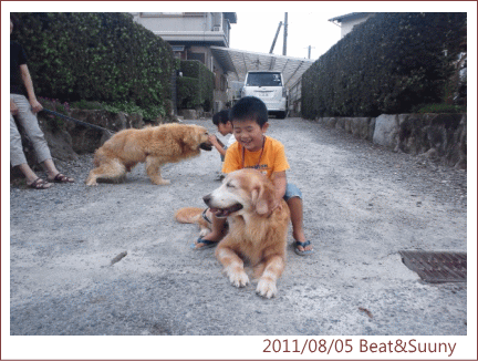 c0017311_1714130.gif