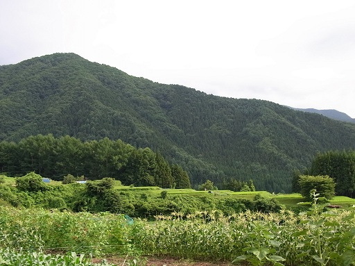 北信濃、山田温泉_c0192215_904897.jpg