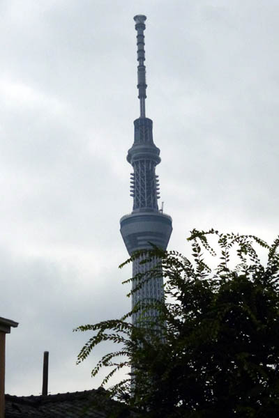 b0074818_944786.jpg