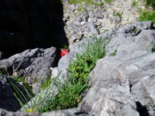 d0013721_043551.jpg