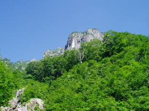 d0013721_092759.jpg