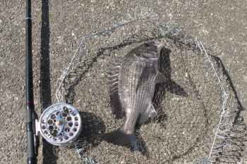 f0031423_16254680.jpg