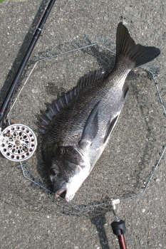 f0031423_16262342.jpg