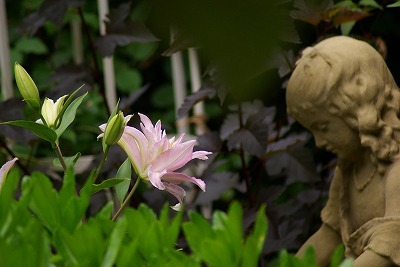 f0170524_1235983.jpg