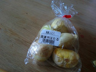 f0170524_124571.jpg