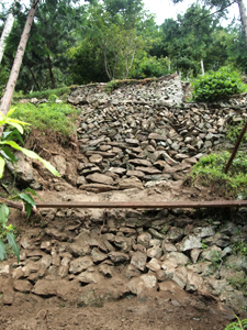 f0234426_20553863.jpg