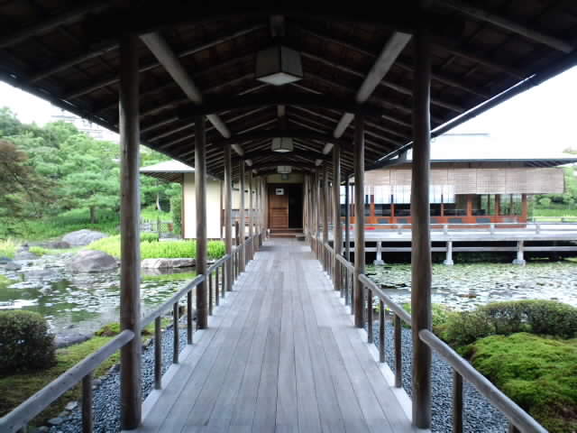 ８月６日は旧暦七夕、白鳥庭園『観蓮会』へ_e0209927_21331856.jpg