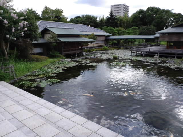 ８月６日は旧暦七夕、白鳥庭園『観蓮会』へ_e0209927_21331863.jpg