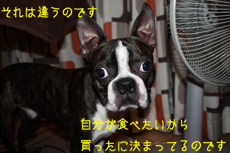 a0190132_23132195.jpg