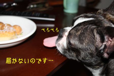 a0190132_23203416.jpg