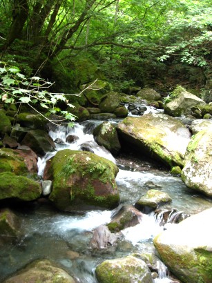c0090236_1917275.jpg