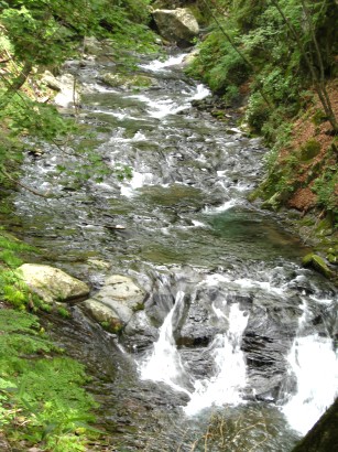 c0090236_1917391.jpg