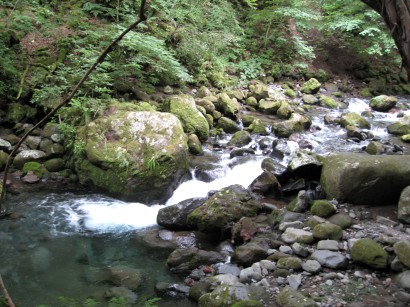 c0090236_1917573.jpg