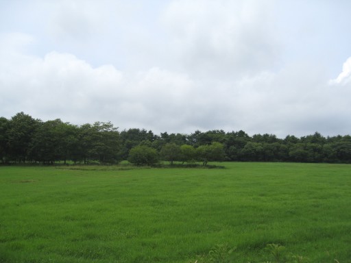 c0090236_19232032.jpg