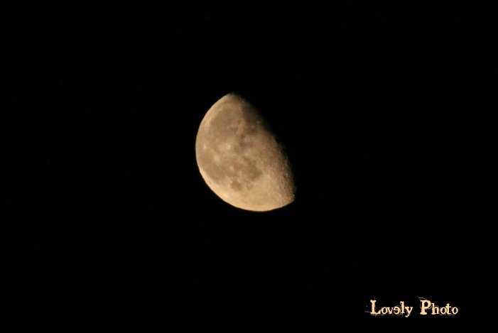 b0211545_9201434.jpg