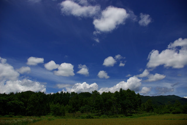 d0186245_0313268.jpg