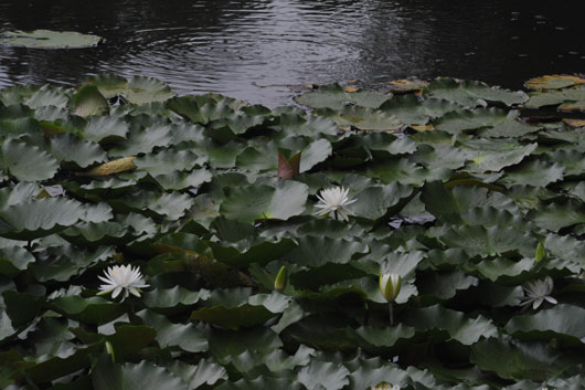 c0093046_19162490.jpg