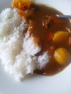 カレーを作りましたぁ_e0114246_1335261.jpg