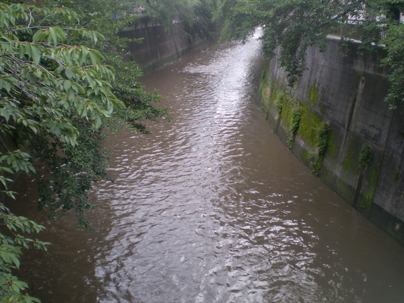 あげ堀？他　川沿いの暗渠など・板橋区中板橋・弥生町_d0250051_15351976.jpg