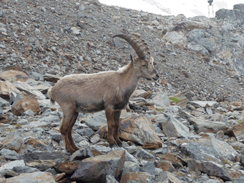a0044453_21202422.gif