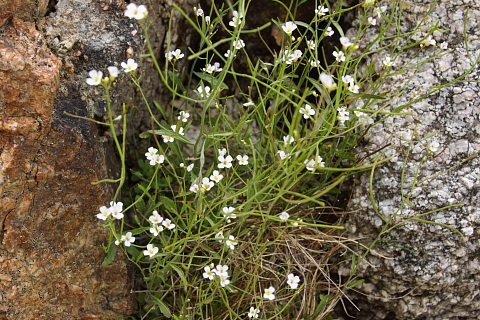 d0176157_15139.jpg
