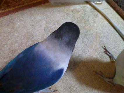e0147757_2314307.jpg