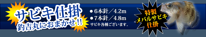 7月22日晴れ、小潮、波0.5ｍ_b0229059_2143467.jpg