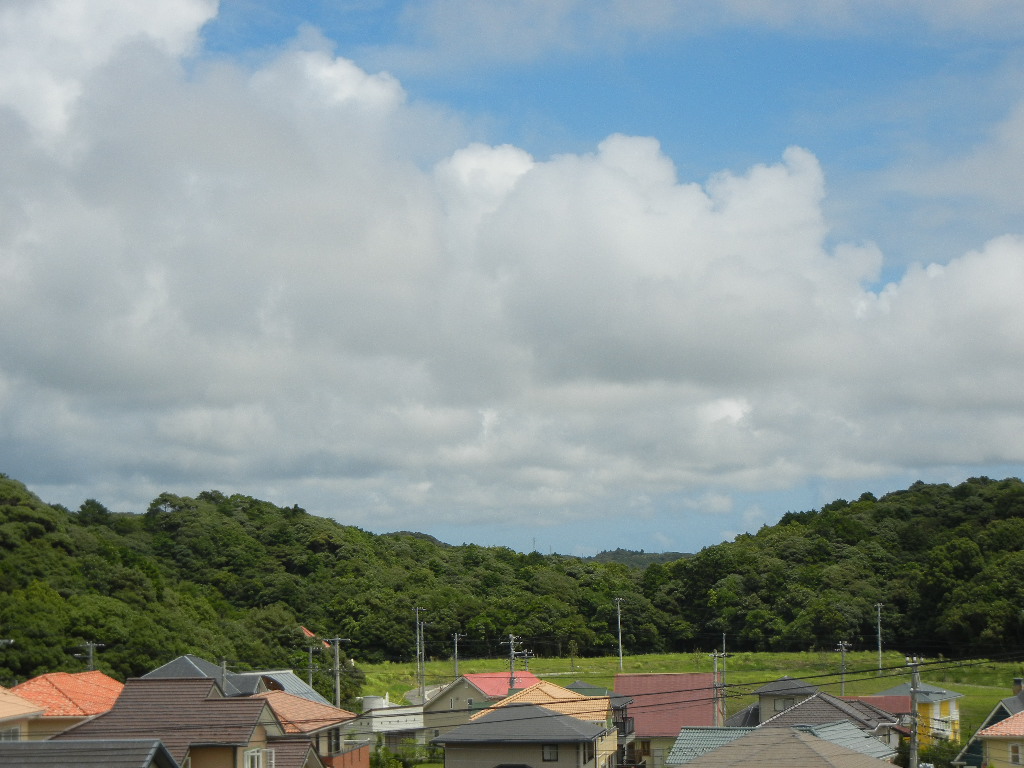 2011年8月5日(金)ママも心ちゃんも快復!_f0060461_1129276.jpg