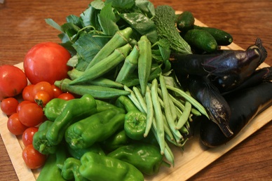 新鮮 夏野菜とヨモギ。_e0045565_1462938.jpg