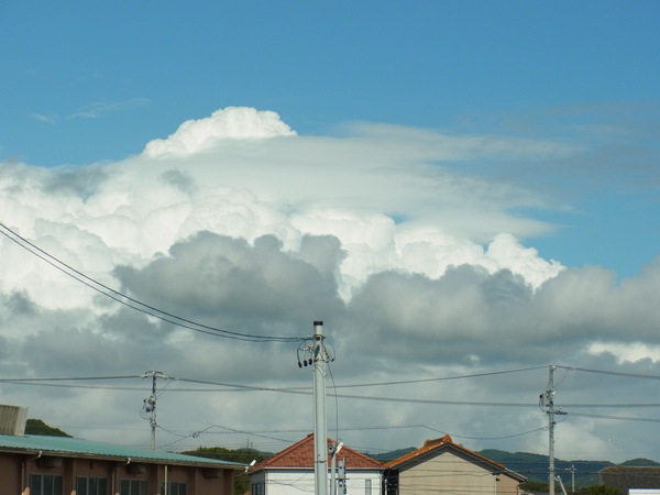 b0194267_1771735.jpg