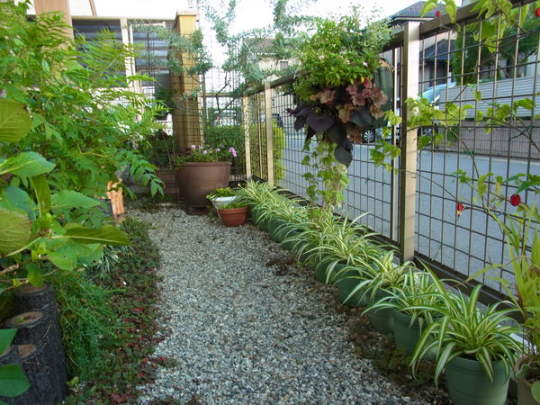 b0194267_2132795.jpg