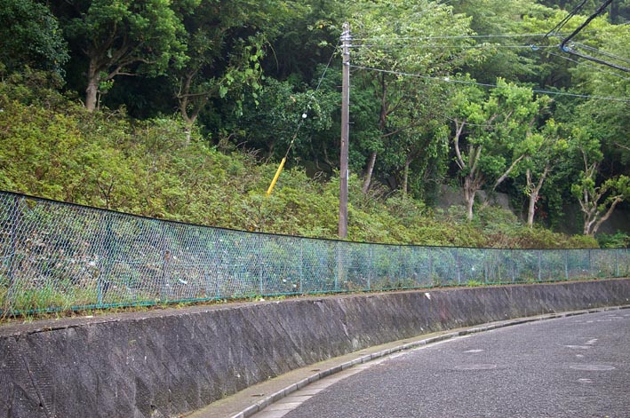 六国見山・外周フェンス沿いの伐採樹木の積み置きを撤去_c0014967_91101.jpg