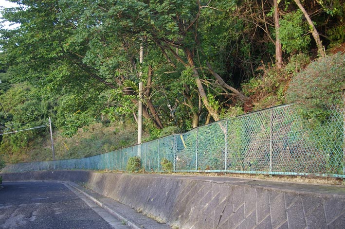 六国見山・外周フェンス沿いの伐採樹木の積み置きを撤去_c0014967_92660.jpg