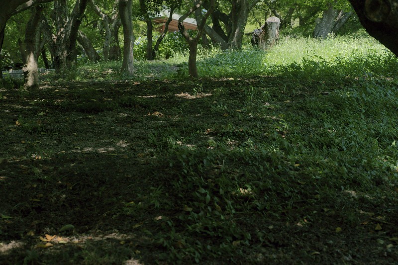 b0198768_2122196.jpg