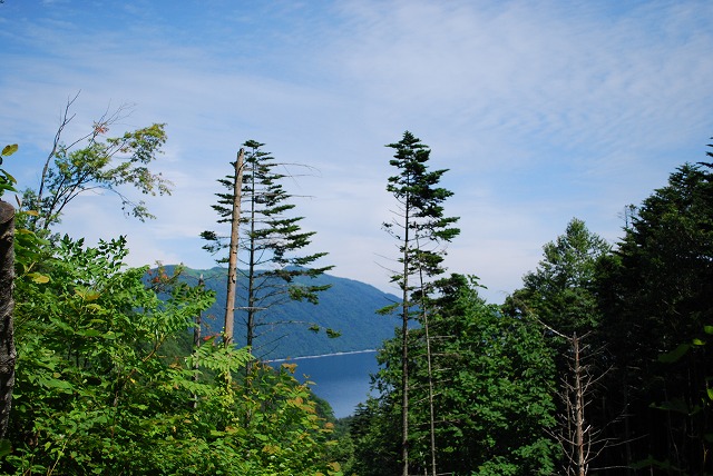 b0176770_98092.jpg