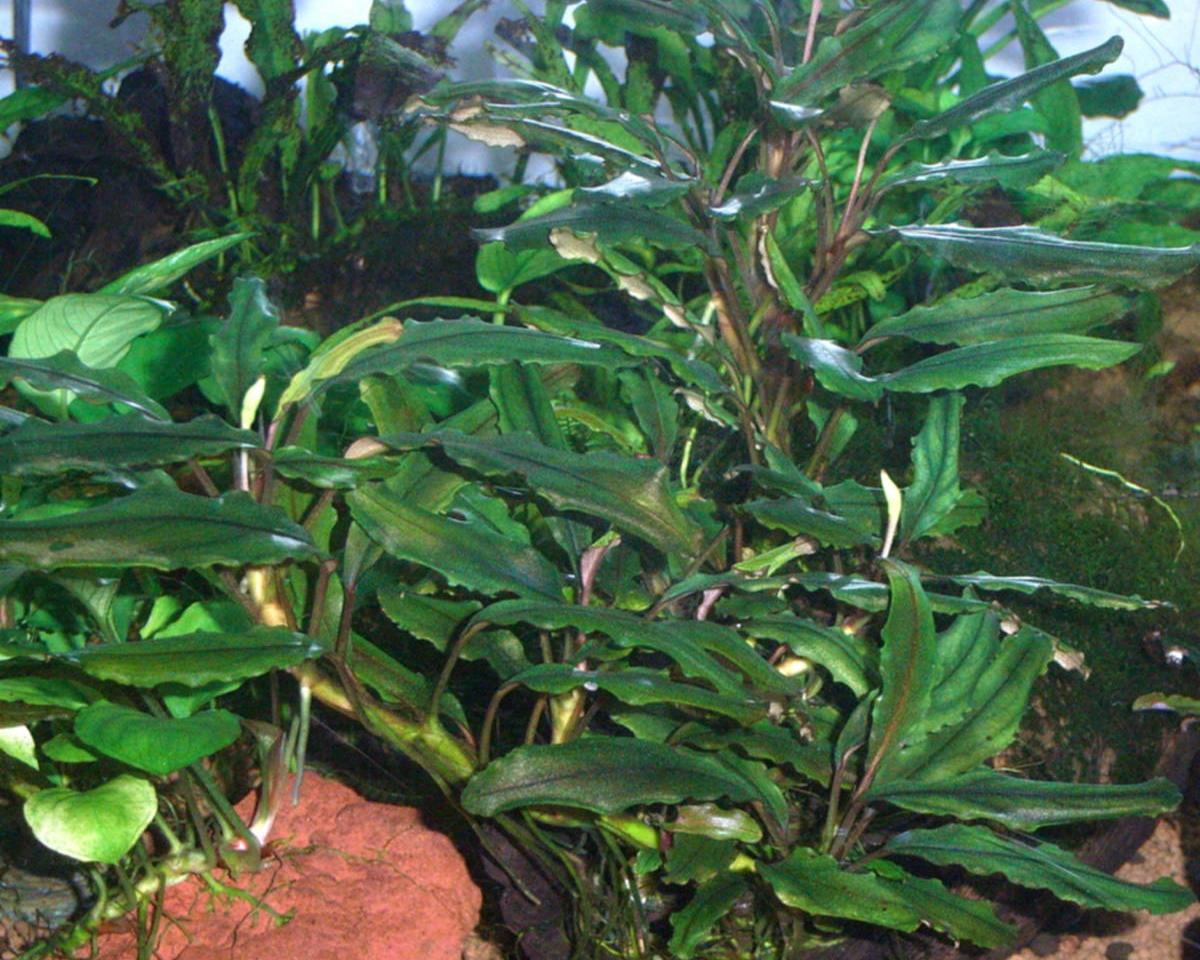 d0249970_2101764.jpg