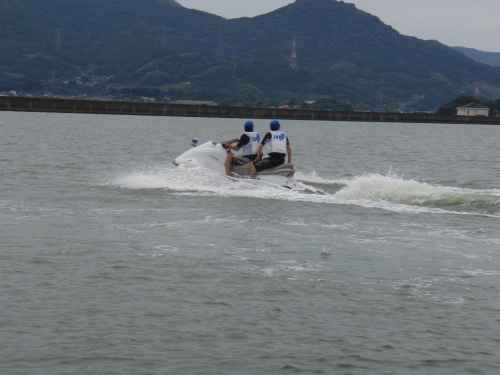 迷子のイルカ_a0077071_16223021.jpg