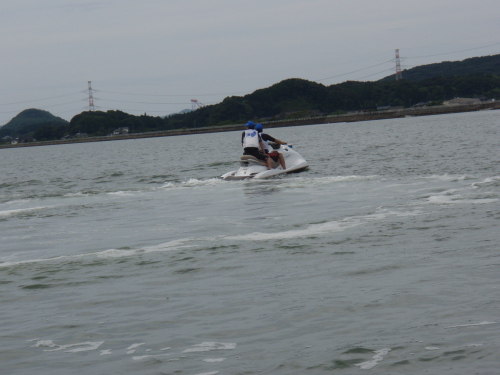 迷子のイルカ_a0077071_16261223.jpg