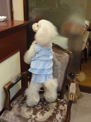 2011.8.5 今日は楽しい整体治療の日_a0083571_23281512.jpg