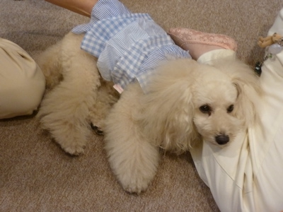 2011.8.5 今日は楽しい整体治療の日_a0083571_23332673.jpg